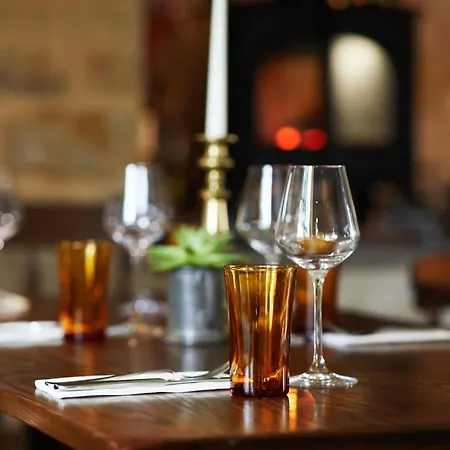 The Lime Tree فندق