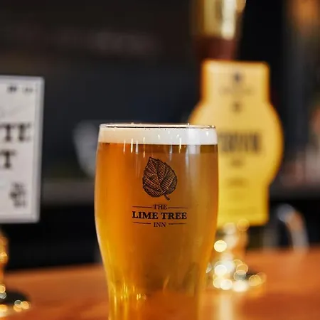 The Lime Tree 5*